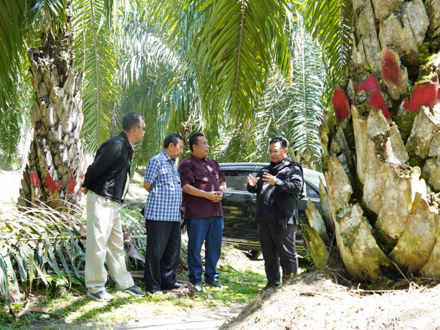 Ombudsman RI Dorong Peningkatan Tata Kelola Perbenihan Kelapa Sawit.